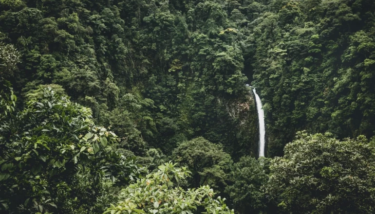 Beautiful waterfall Costa Rica