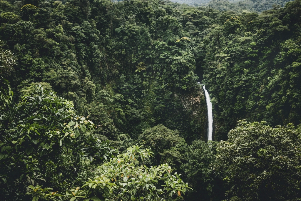Beautiful waterfall Costa Rica