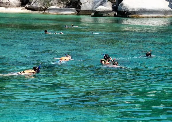 snorkeling, sea, water