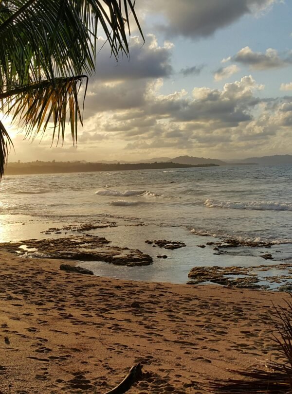 Scenic view of a tropical beach at sunset in Puerto Viejo, Costa Rica.