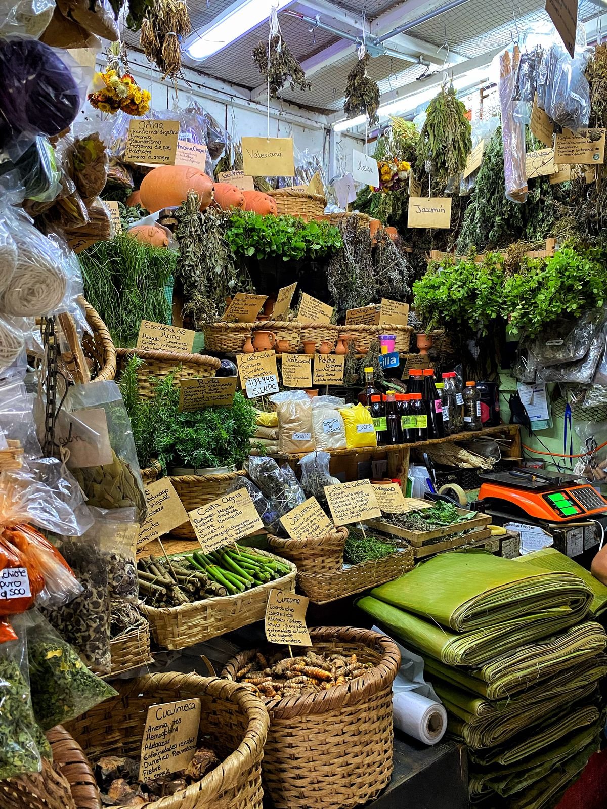 Mercado central de costa rica, tour de un dia por san jose