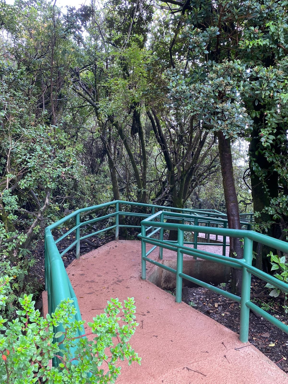 Senderos del Volcán Poás