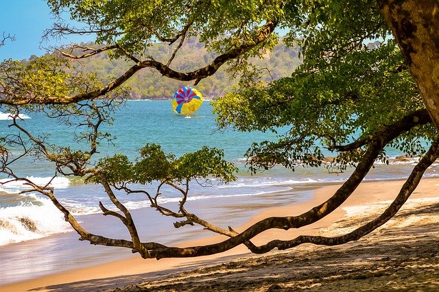 costa rica, manuel antonio, central america