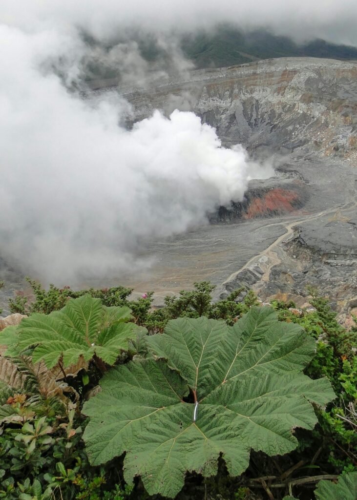 Explore the vivid landscape and smoke plume of Poás Volcano in Costa Rica, with lush vegetation in the foreground.