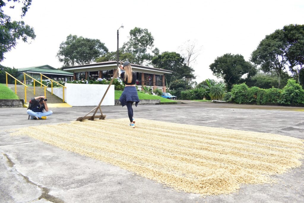 doka coffee Tour