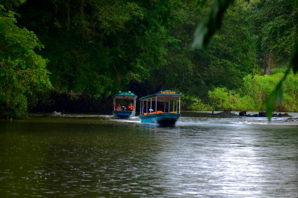 Botes en Parque Nacional Tortuguero, Costa Rica